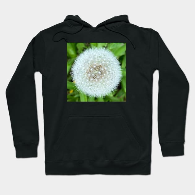 dandelion Hoodie by lifemine